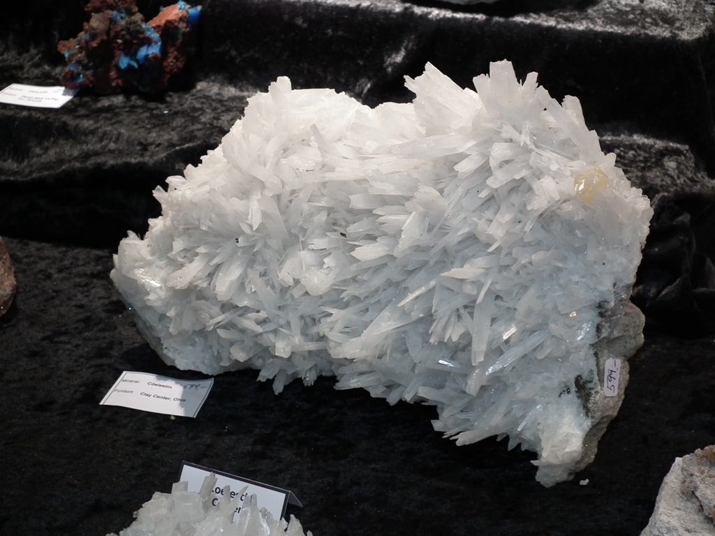 DSCF4071.JPG